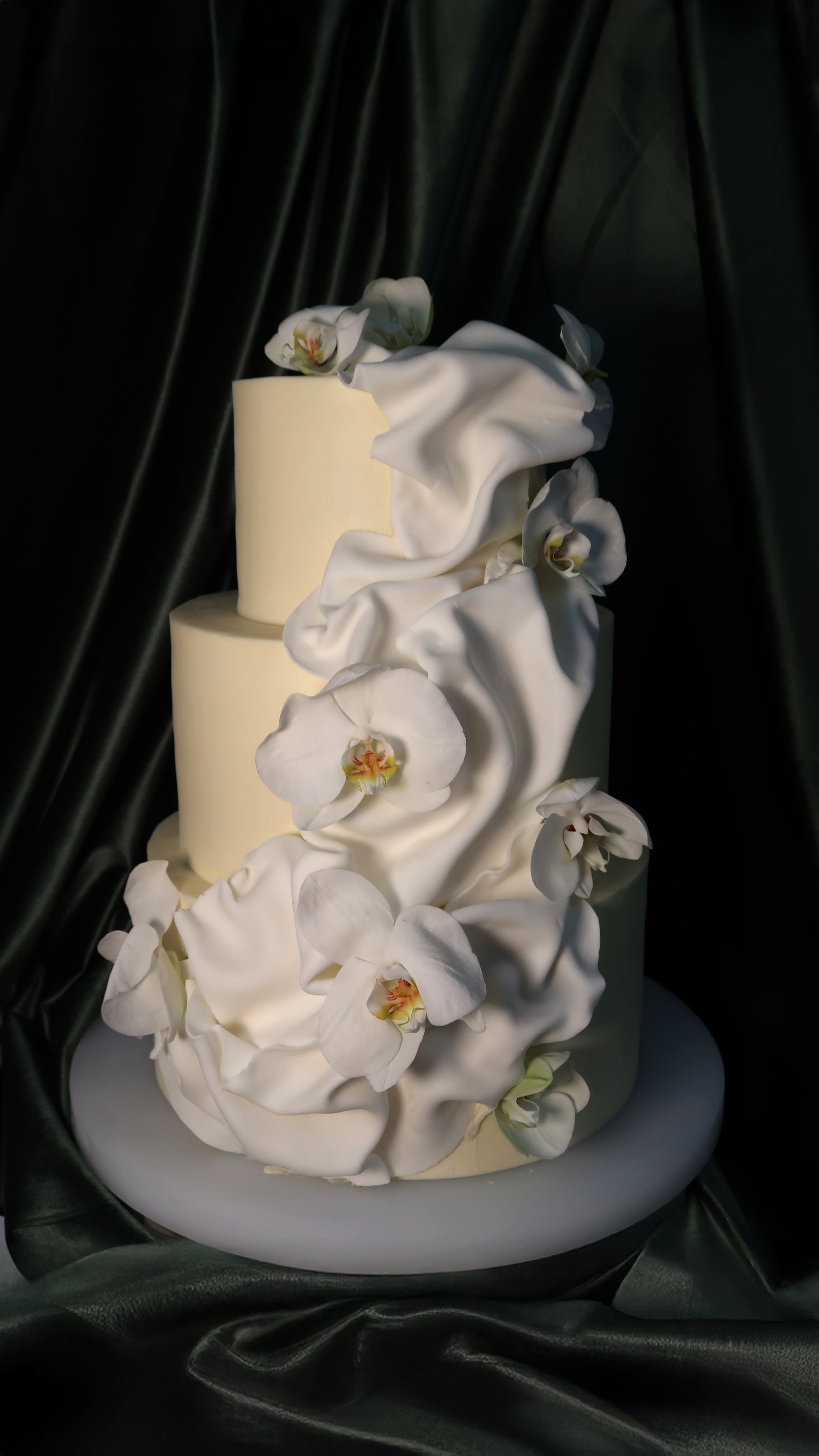 A Floral Symphony of Orchids