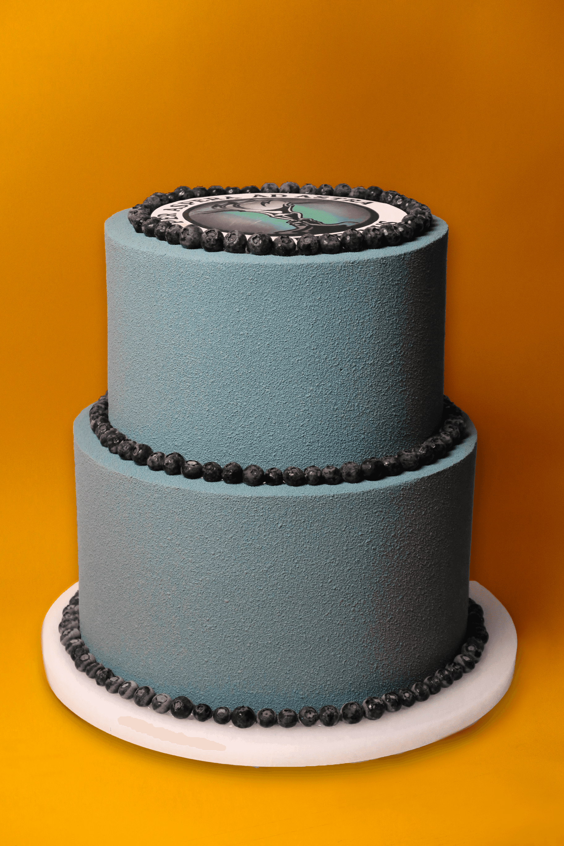 Blueberry Cake