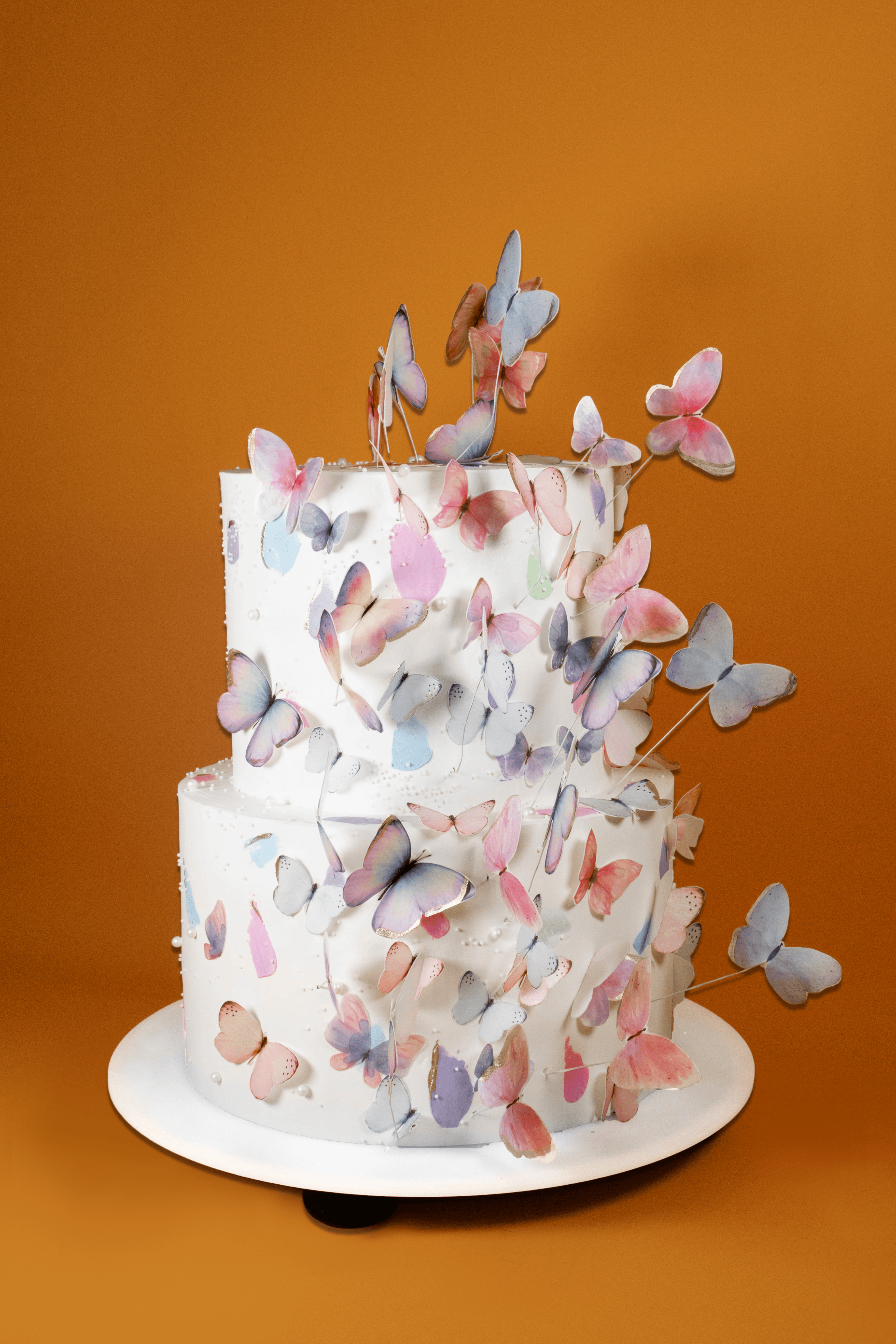 Butterfly  Cake 