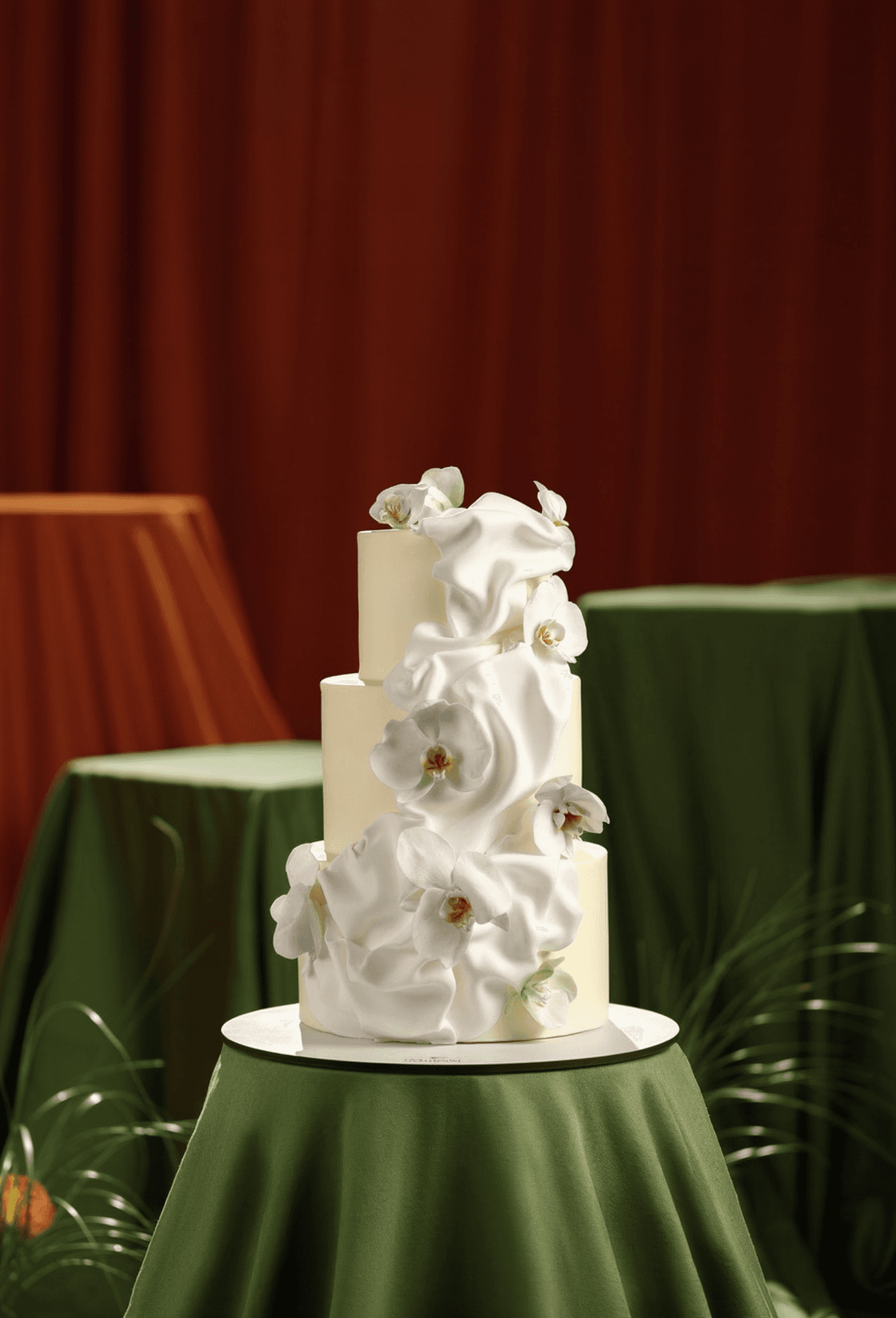 A Floral Symphony of Orchids